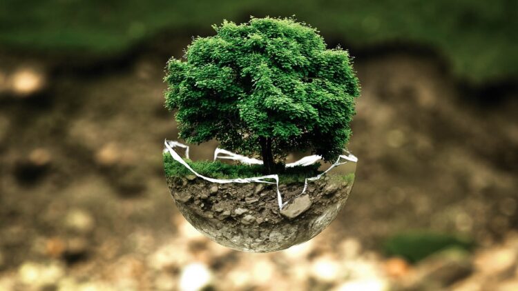What Is Environmental Protection?