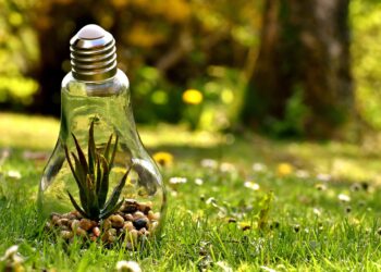 What is Carbon Dioxide (CO2)?