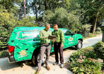 Things to Consider When It Comes to Pest Control in Charlotte, NC