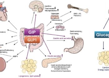 The Future of Weight Management: Insights into the Latest Peptide Innovation