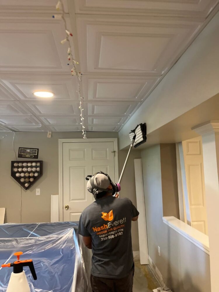 Signs of Hidden Mold in Your Home and How to Address It